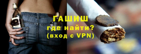 шишки Медвежьегорск