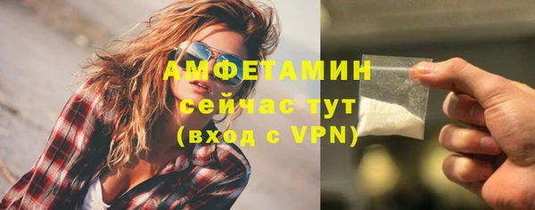 шишки Медвежьегорск