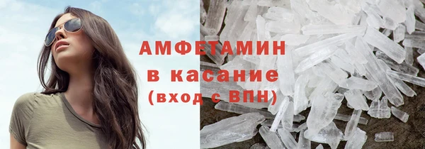 шишки Медвежьегорск