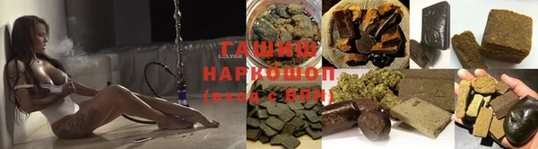 шишки Медвежьегорск