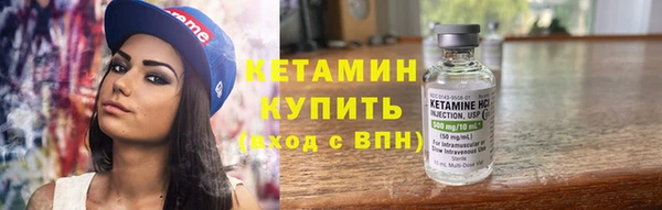шишки Медвежьегорск