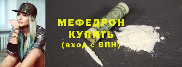 шишки Медвежьегорск