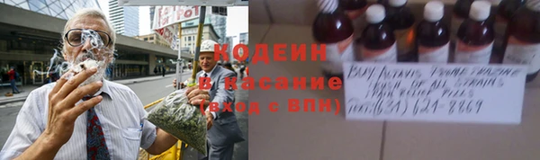 шишки Медвежьегорск