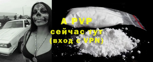 шишки Медвежьегорск