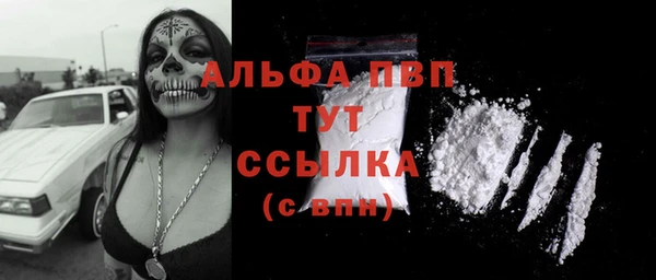 шишки Медвежьегорск