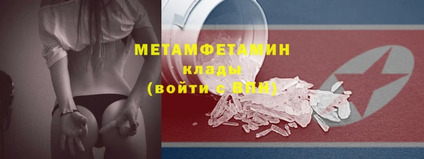 шишки Медвежьегорск