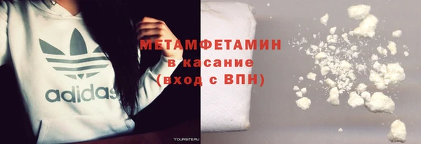 шишки Медвежьегорск