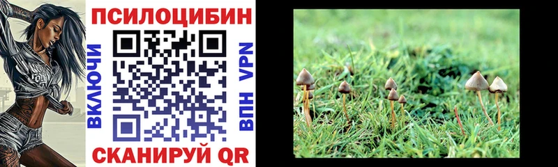 сколько стоит  Хвалынск  Галлюциногенные грибы мухоморы 